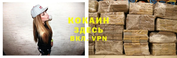 гашик Осинники
