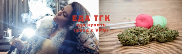 гашик Осинники