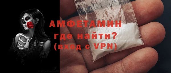гашик Осинники
