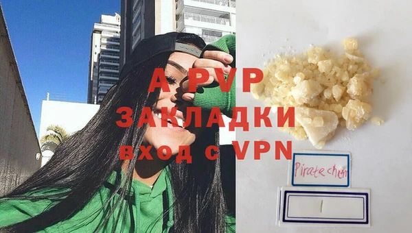гашик Осинники