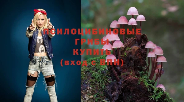 гашик Осинники