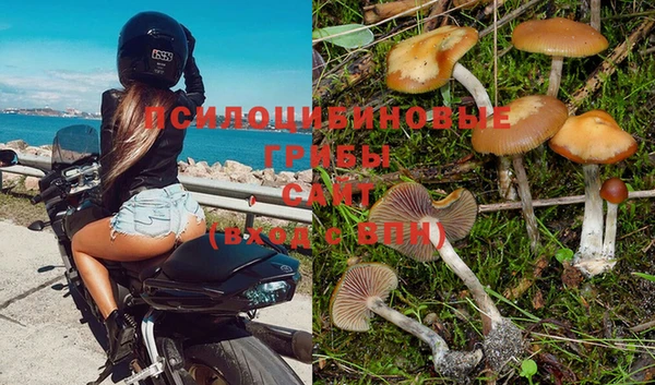 гашик Осинники