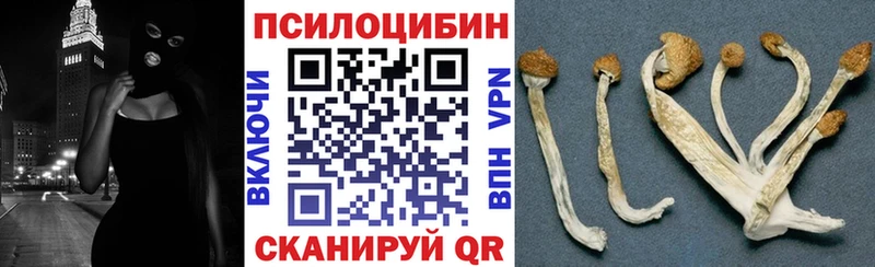 Галлюциногенные грибы Psilocybine cubensis  цена наркотик  Оленегорск 